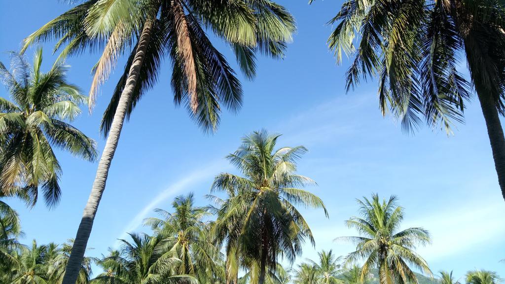 Hotel Good Dream Ko Tao